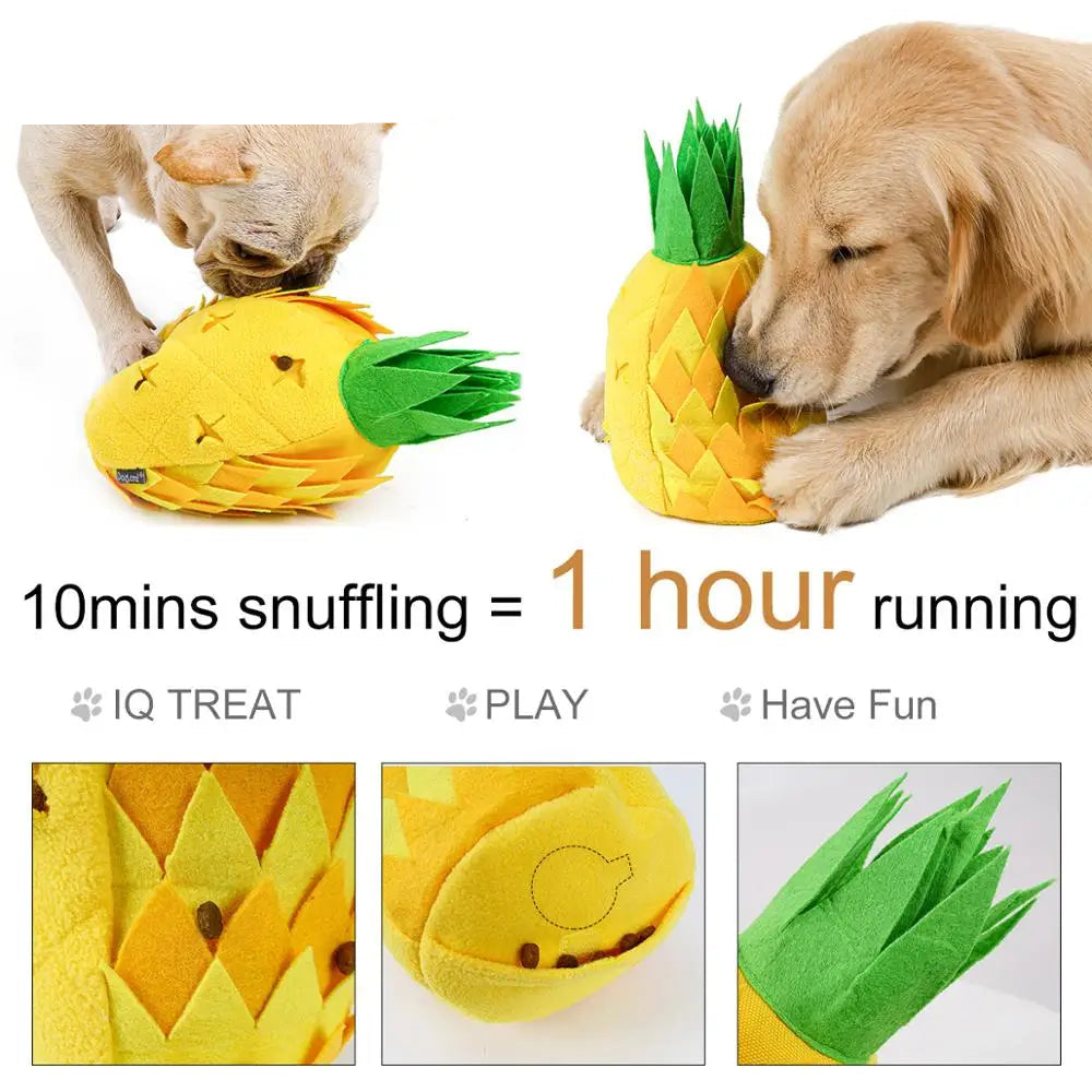 Pineapple Snuffle Toy