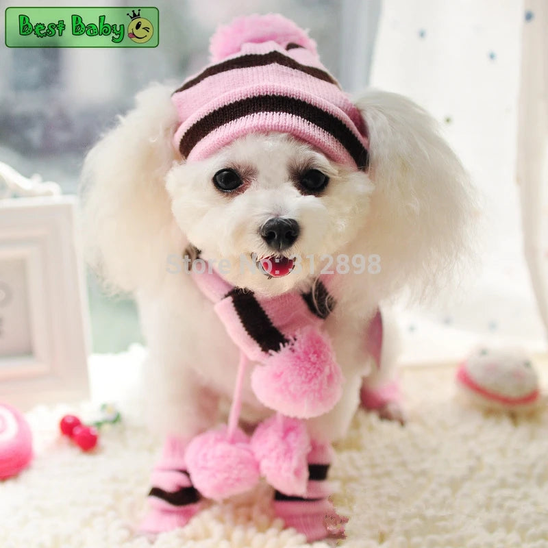 Small white dog wearing a pink outfit with a striped hat on a soft surface.