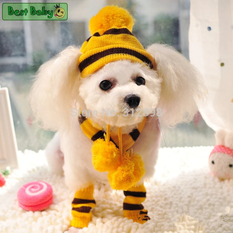Small white dog wearing a yellow and black striped outfit with pom-poms on a soft surface.