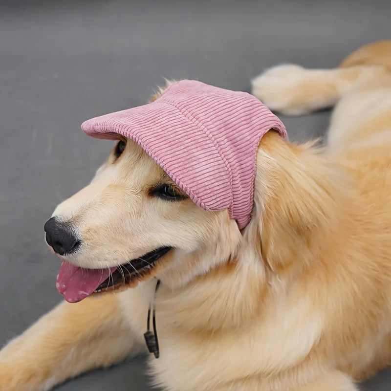 Dog Baseball Cap