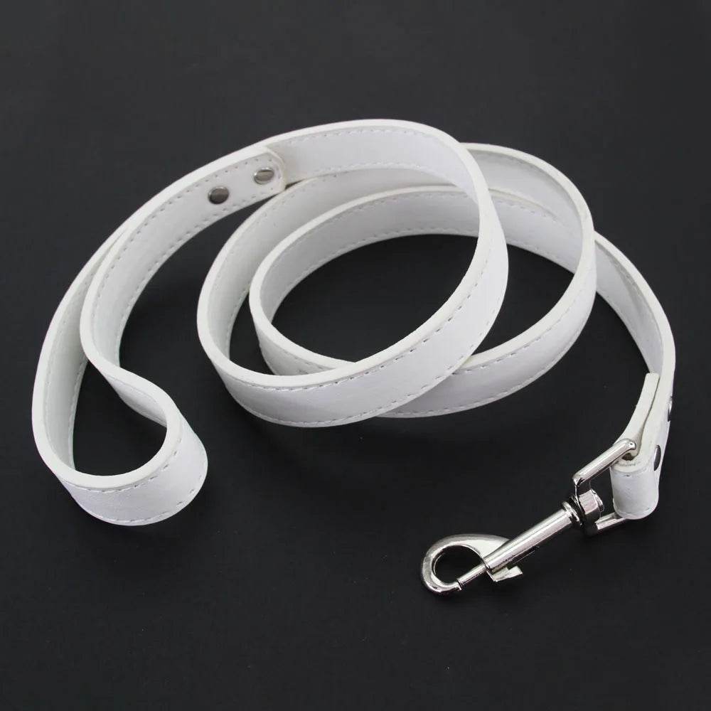 Leather Dog Leash - Chills Pet Pals