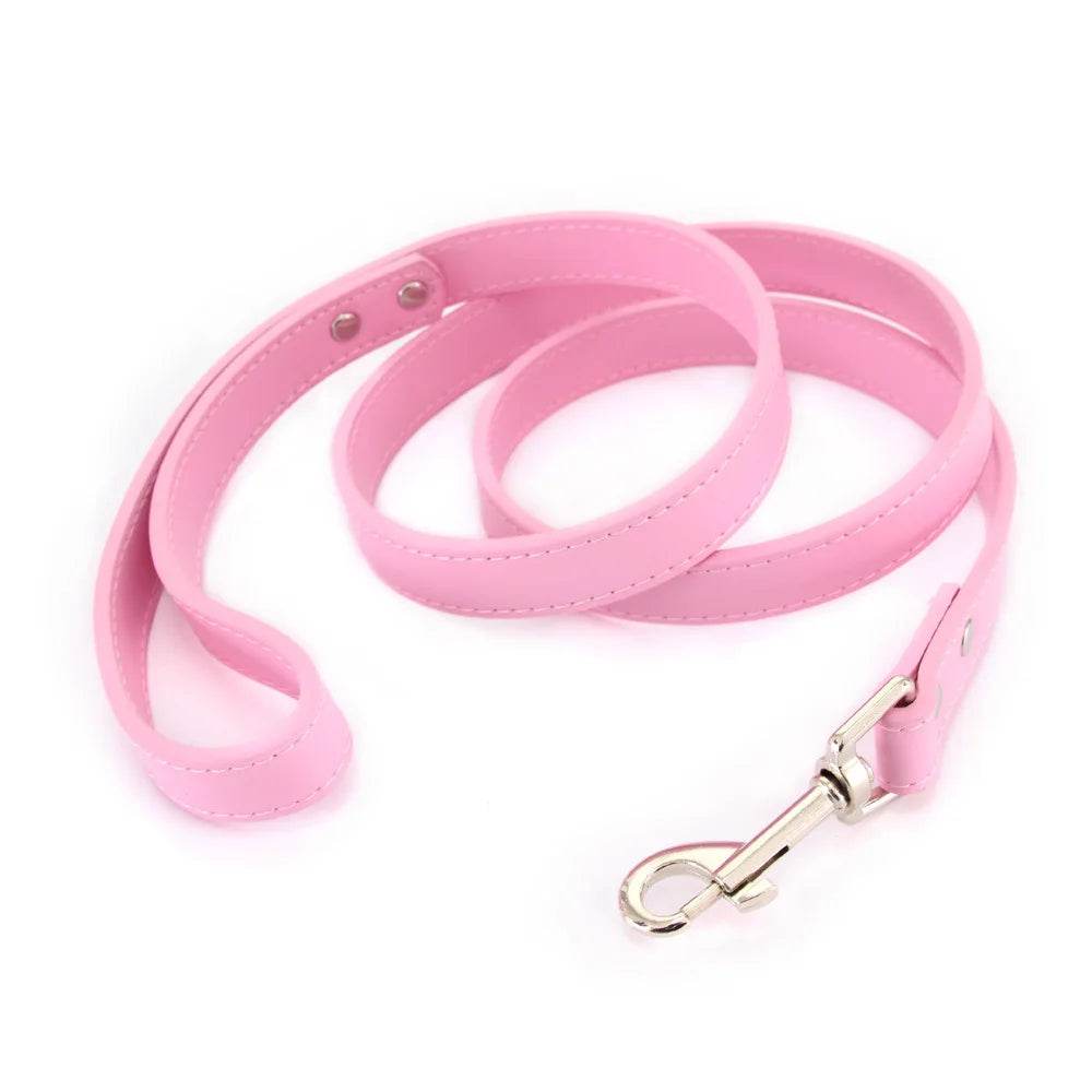 Leather Dog Leash - Chills Pet Pals