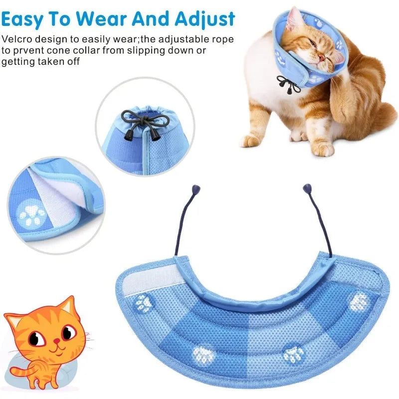 Recovery Cat Collar