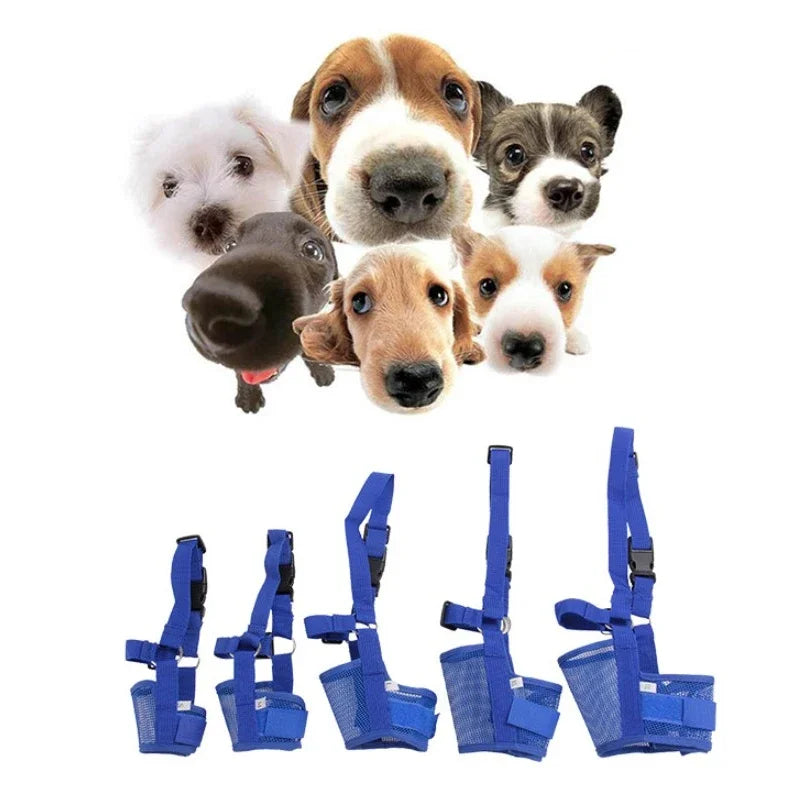 Collage of dogs' faces with blue dog muzzles on a white background