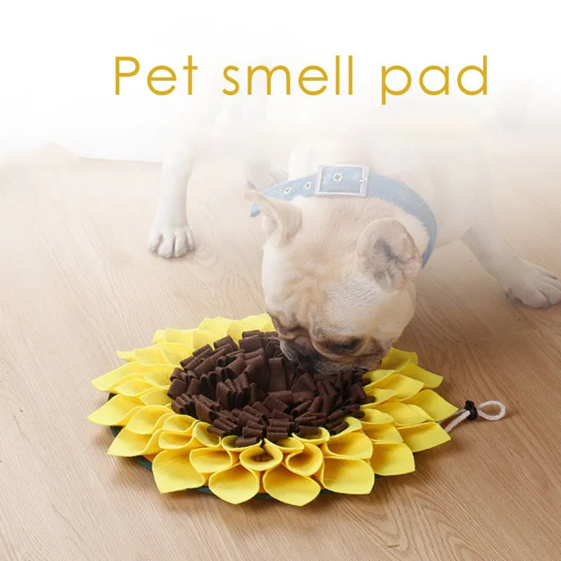 Pet smell pad with a dog sniffing it on a wooden floor