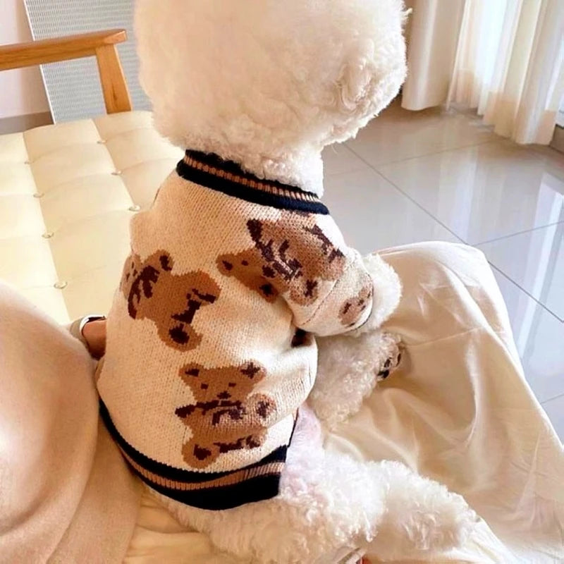 White dog wearing a sweater with bear patterns on a light-colored floor.