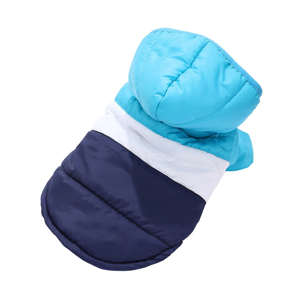 Winter Dog Jacket
