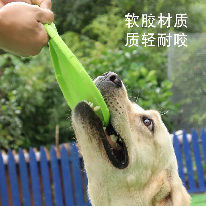 Dog playing with a green toy held by a person outdoors.
