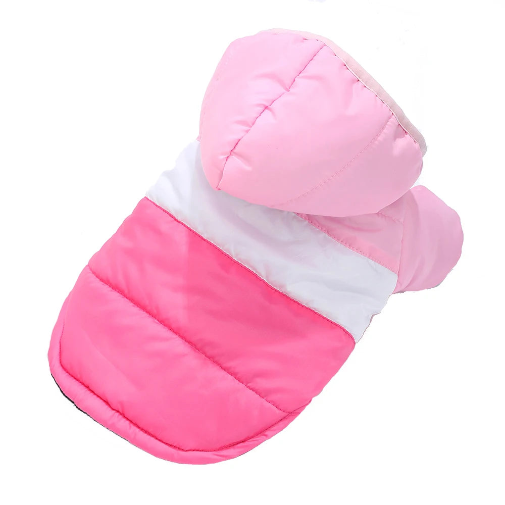 Winter Dog Jacket