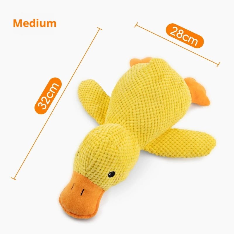 Duck Chew Toy