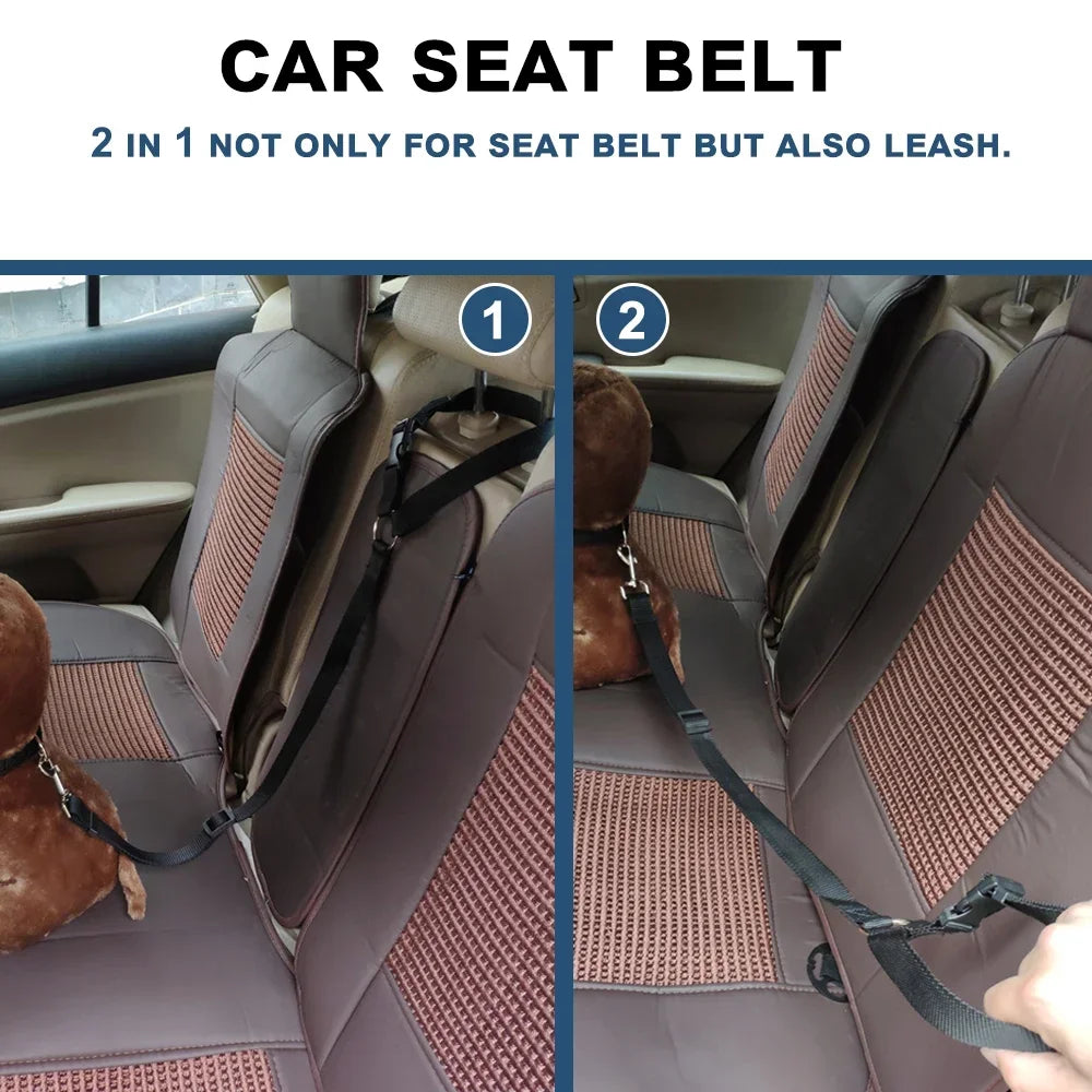 Car seat belt with leash function being demonstrated on a car seat.