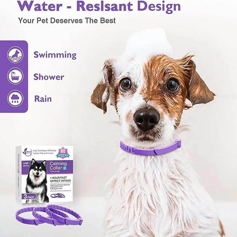 Pet Calming Collar - Chills Pet Pals