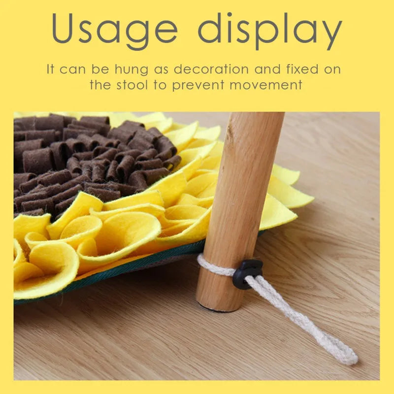 Yellow decorative mat with brown cylindrical objects on a wooden floor, showing usage display text.