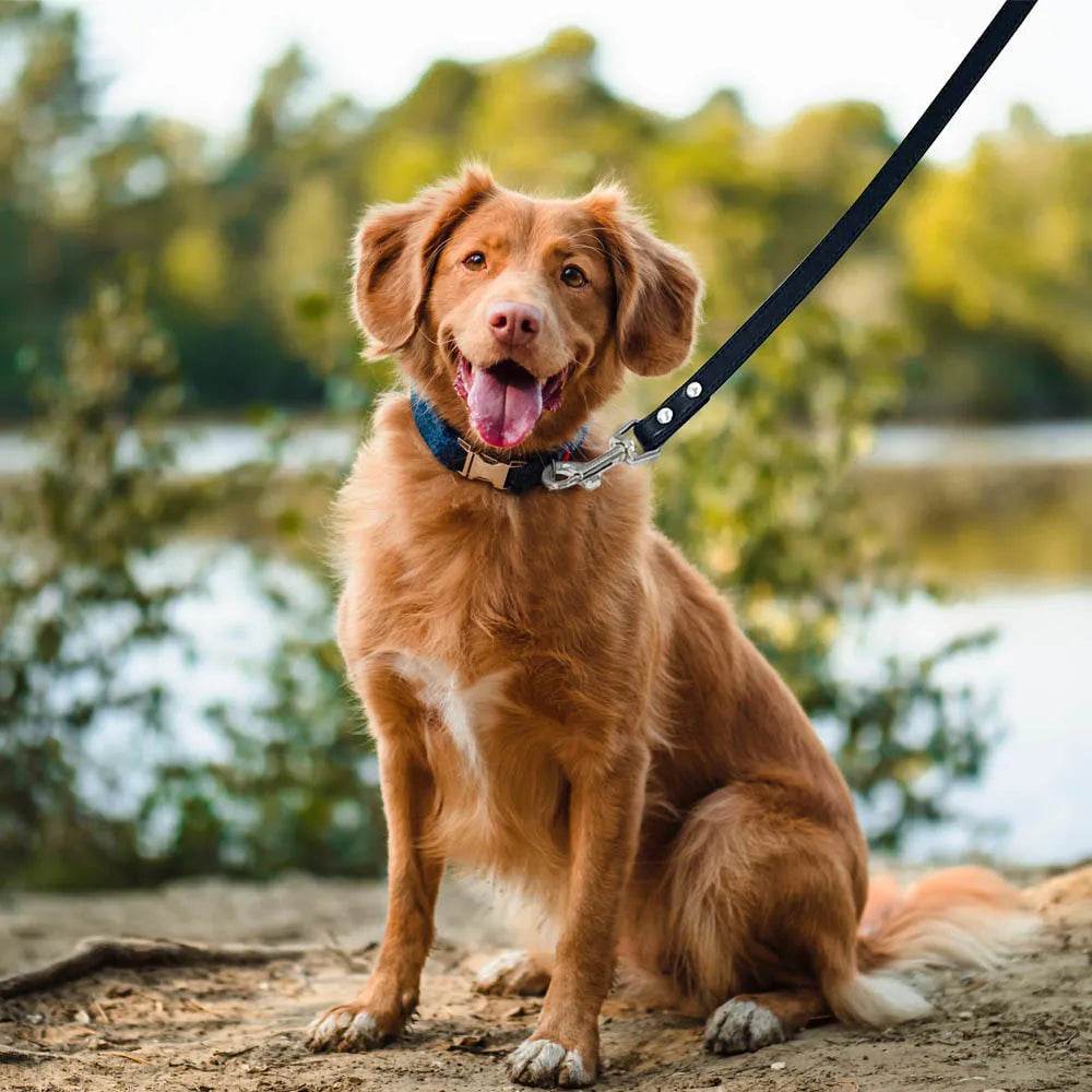 Leather Dog Leash - Chills Pet Pals