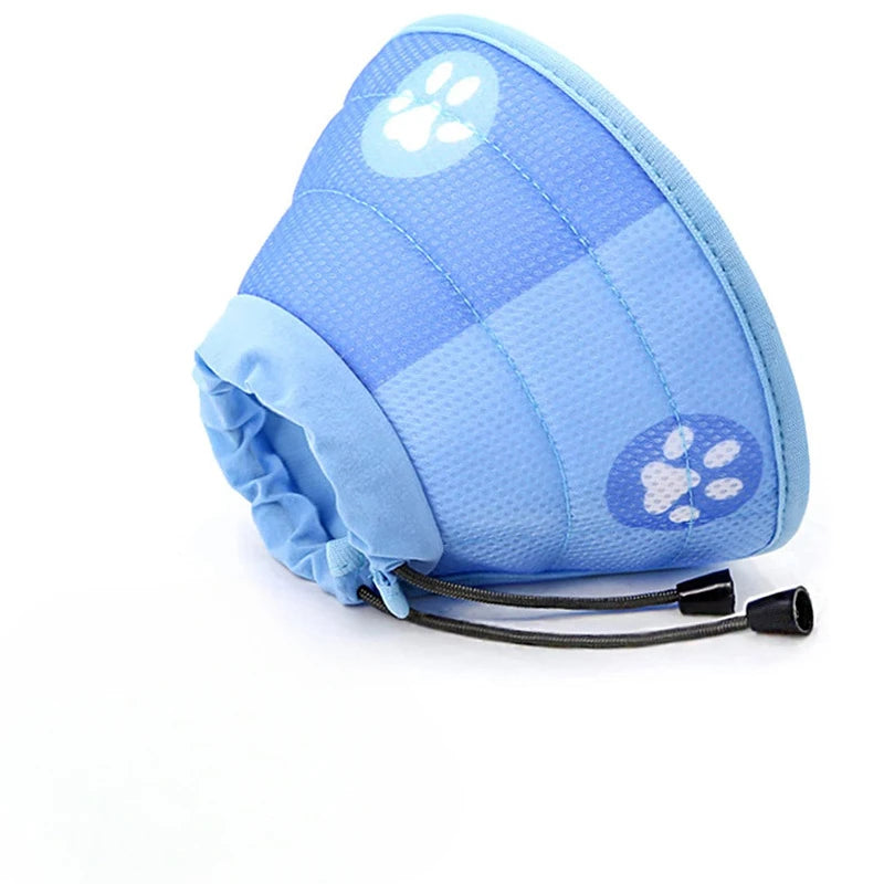 Recovery Cat Collar