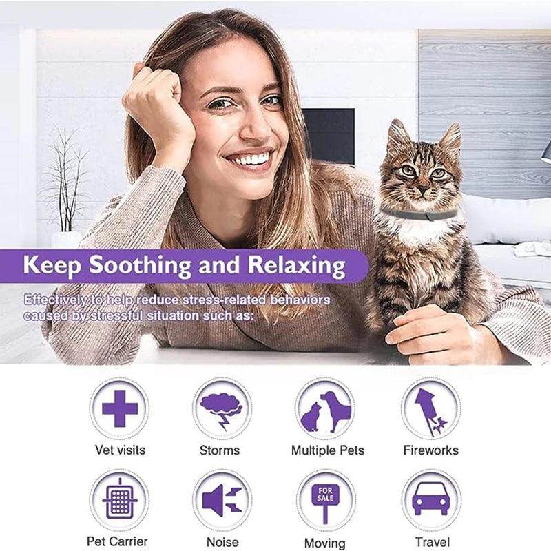 Pet Calming Collar - Chills Pet Pals