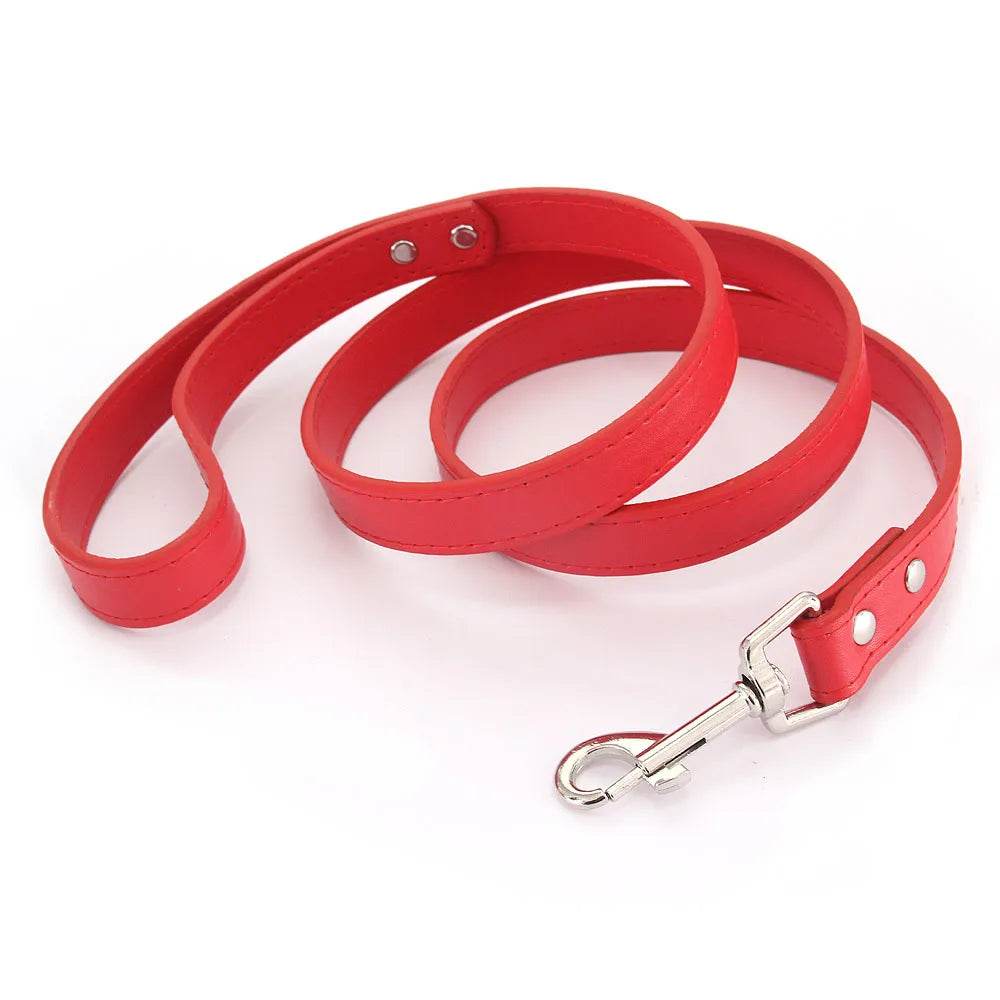 Leather Dog Leash - Chills Pet Pals