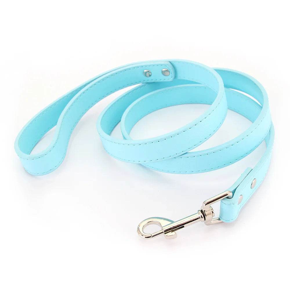 Leather Dog Leash - Chills Pet Pals