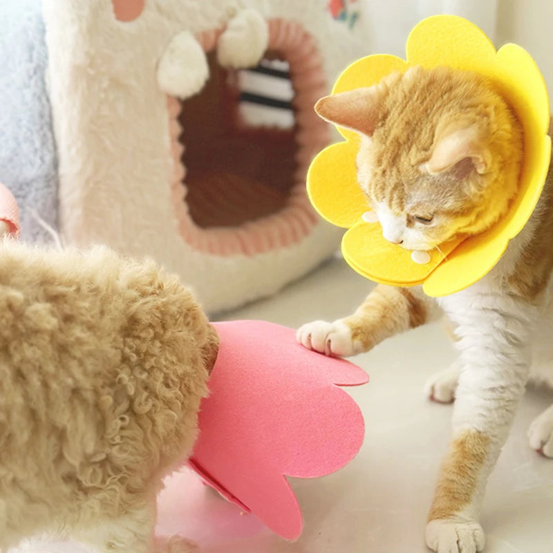 Pet Protective Collar