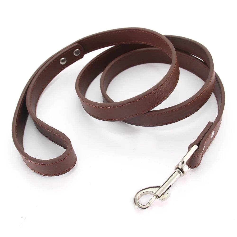 Leather Dog Leash - Chills Pet Pals