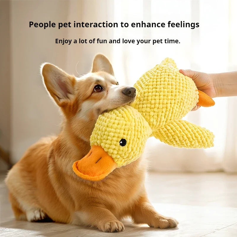 Duck Chew Toy