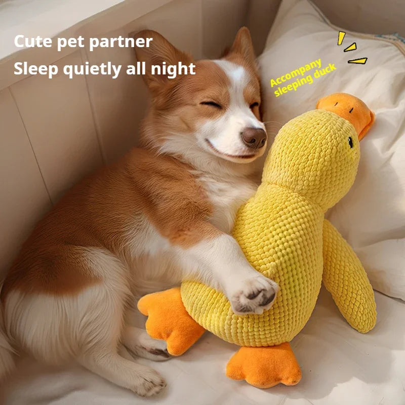 Duck Chew Toy