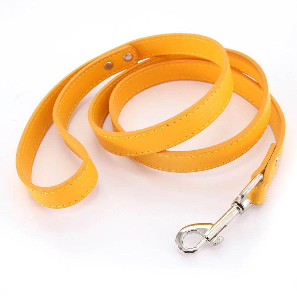 Leather Dog Leash - Chills Pet Pals