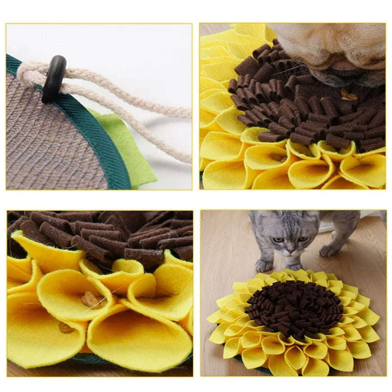 Collage of a pet bed with yellow flower petals and brown center, featuring close-up details and a cat interacting with it.