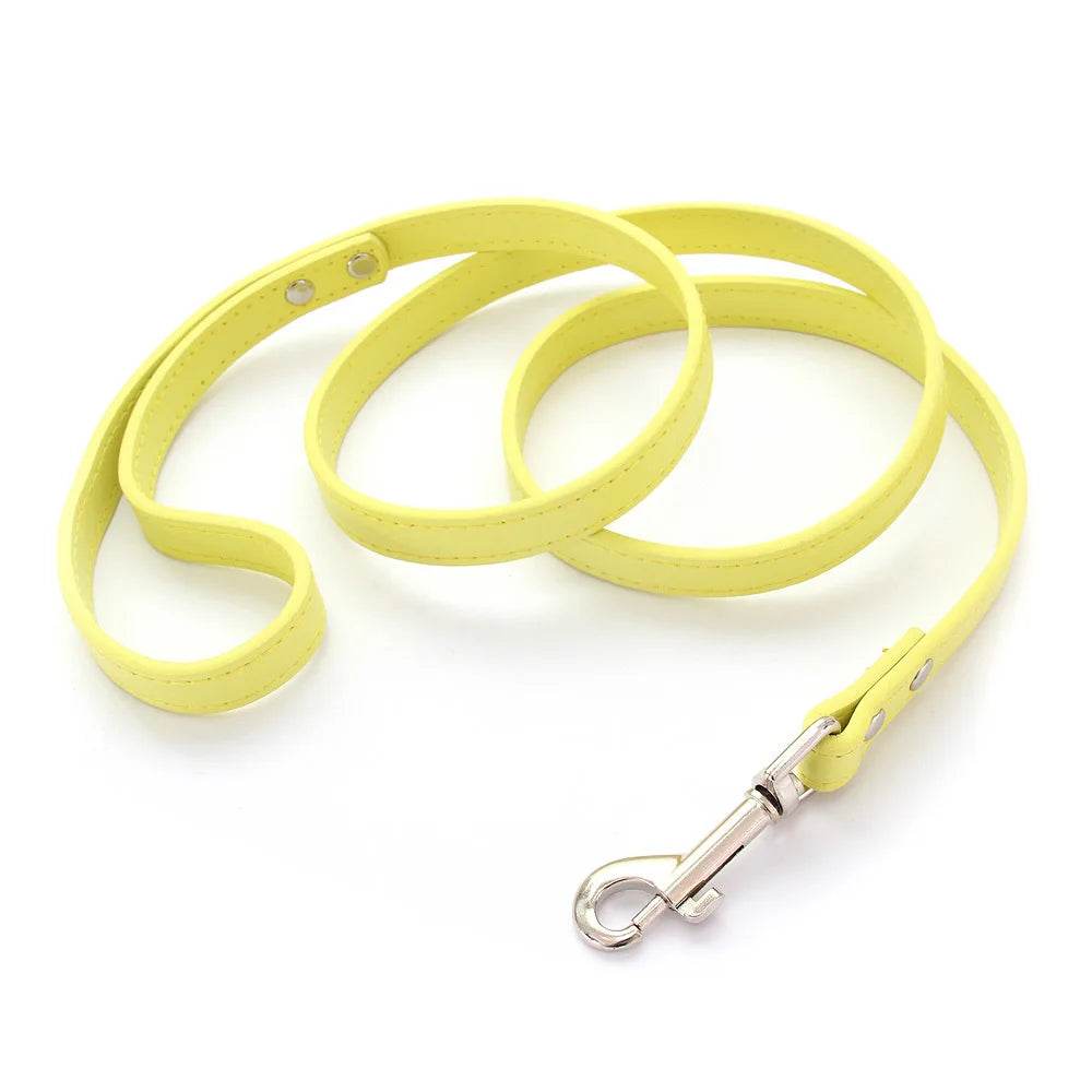 Leather Dog Leash - Chills Pet Pals