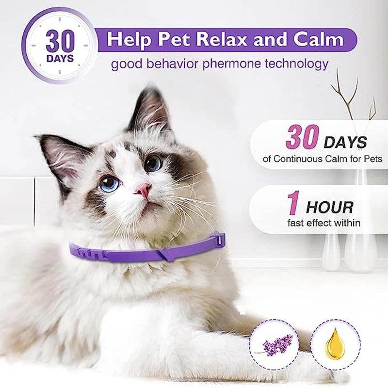 Pet Calming Collar - Chills Pet Pals