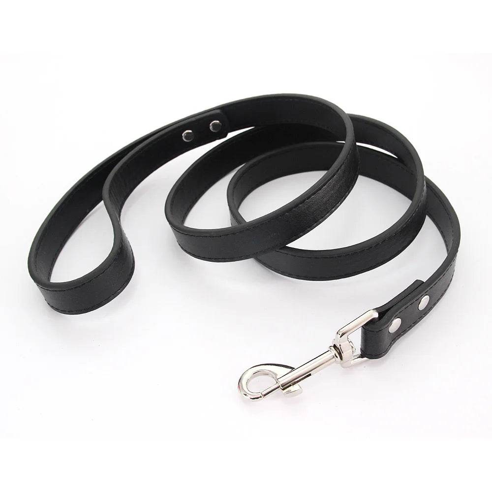 Leather Dog Leash - Chills Pet Pals