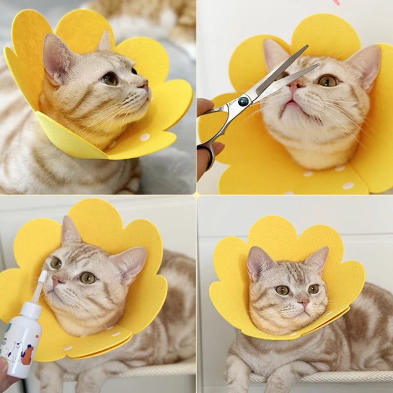 Pet Protective Collar