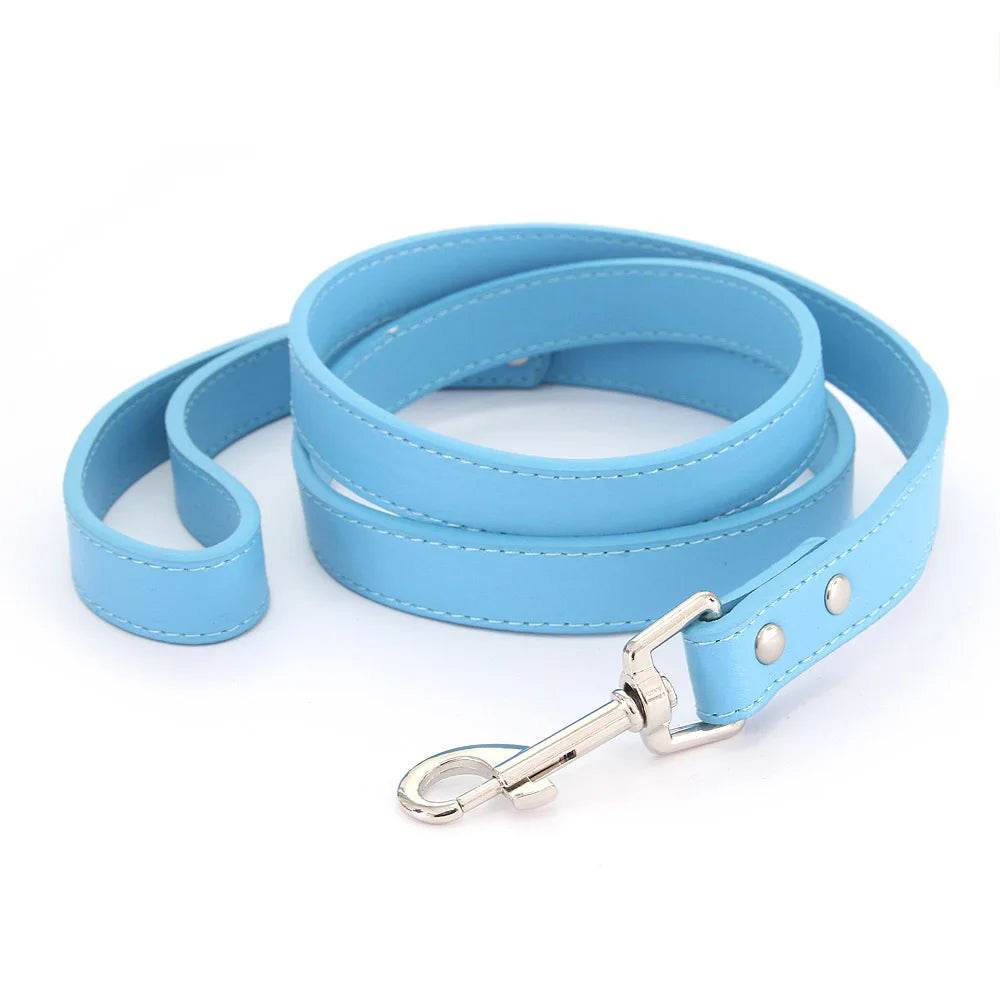 Leather Dog Leash - Chills Pet Pals
