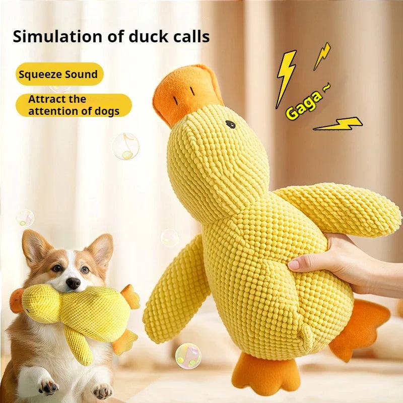 Duck Chew Toy
