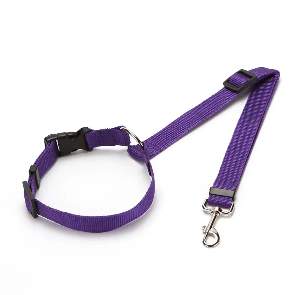 Pet Seat Belt