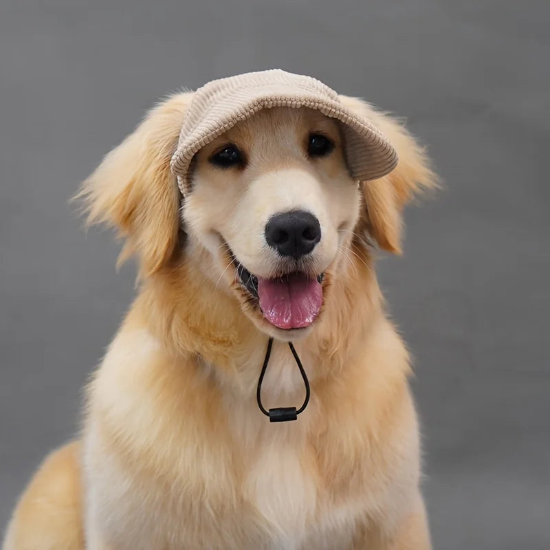 Dog Baseball Cap