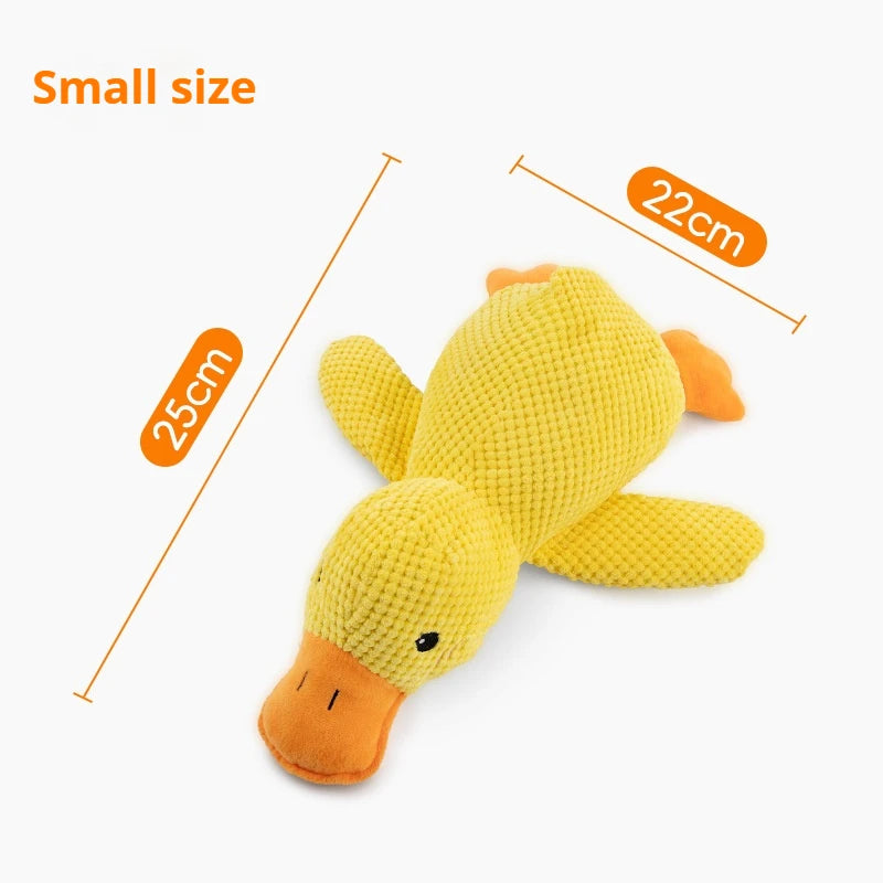 Duck Chew Toy