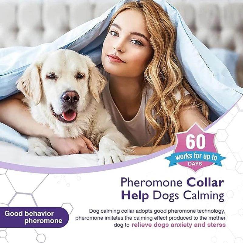 Pet Calming Collar - Chills Pet Pals