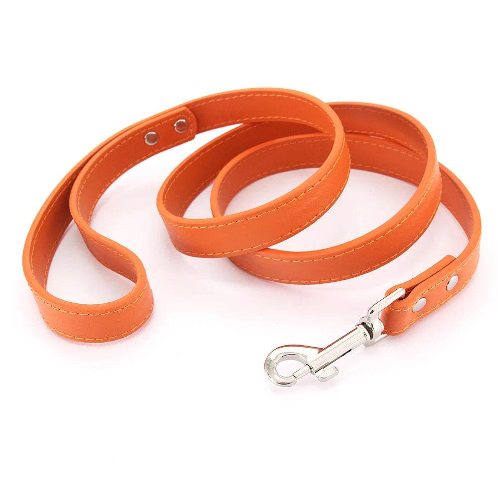 Leather Dog Leash - Chills Pet Pals