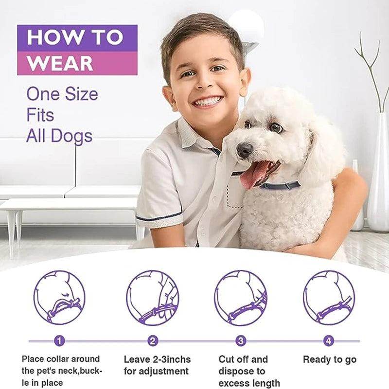 Pet Calming Collar - Chills Pet Pals