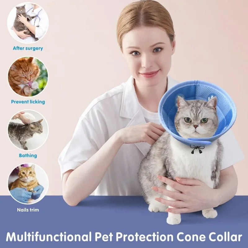 Recovery Cat Collar