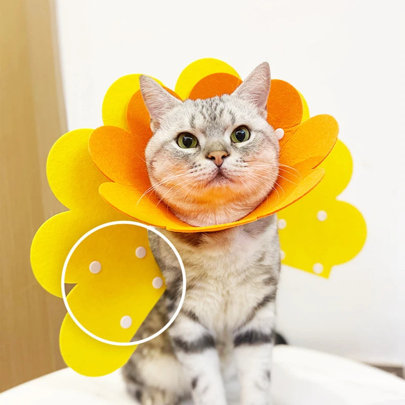 Pet Protective Collar