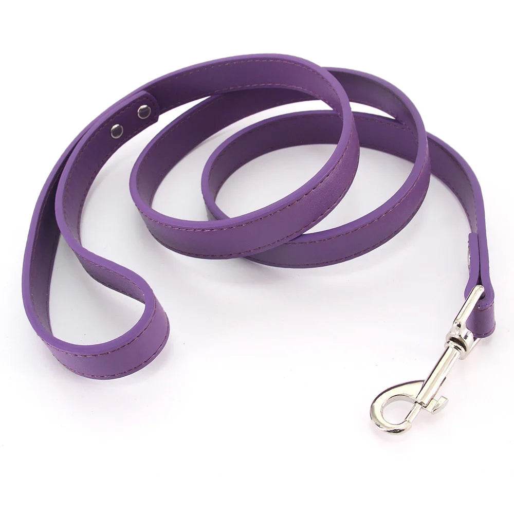 Leather Dog Leash - Chills Pet Pals