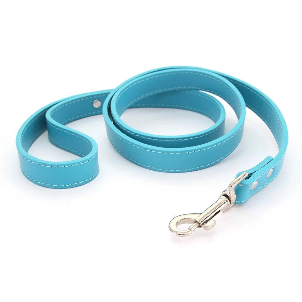 Leather Dog Leash - Chills Pet Pals