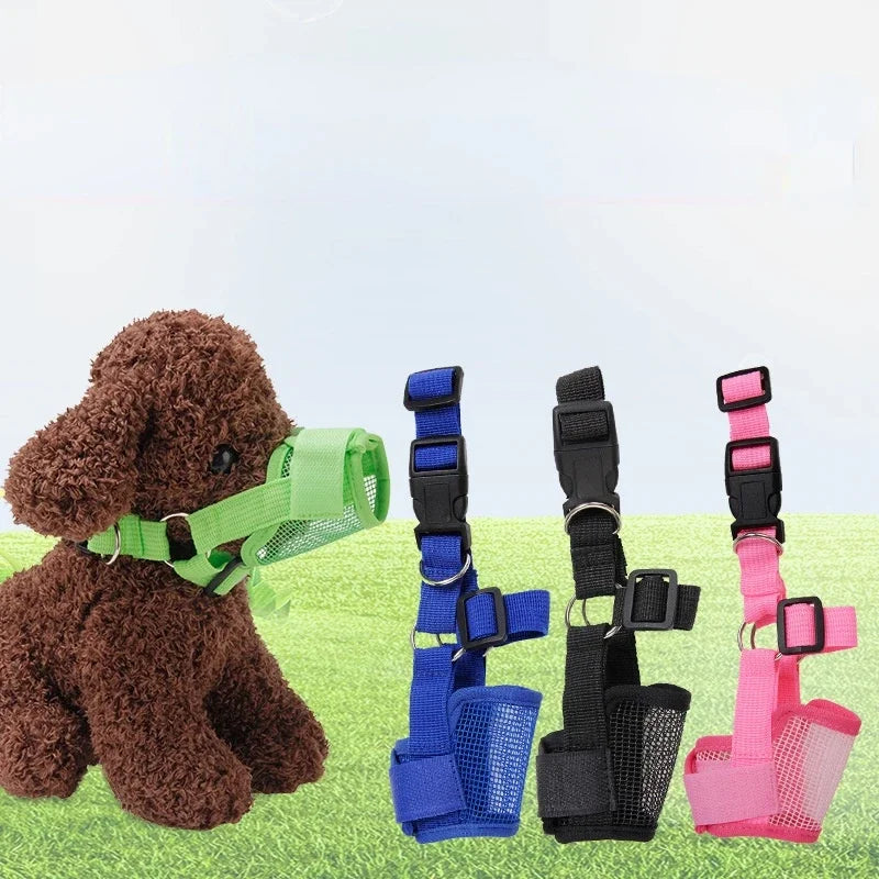 Dog toy with green collar and three colorful dog collars blue, black, pink on a grassy background.