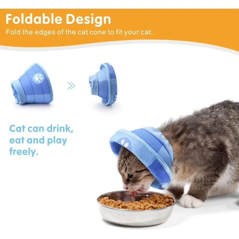 Recovery Cat Collar