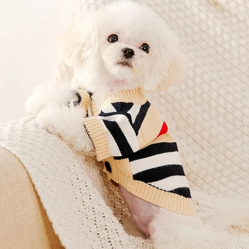 Small white dog wearing a striped sweater on a soft beige background