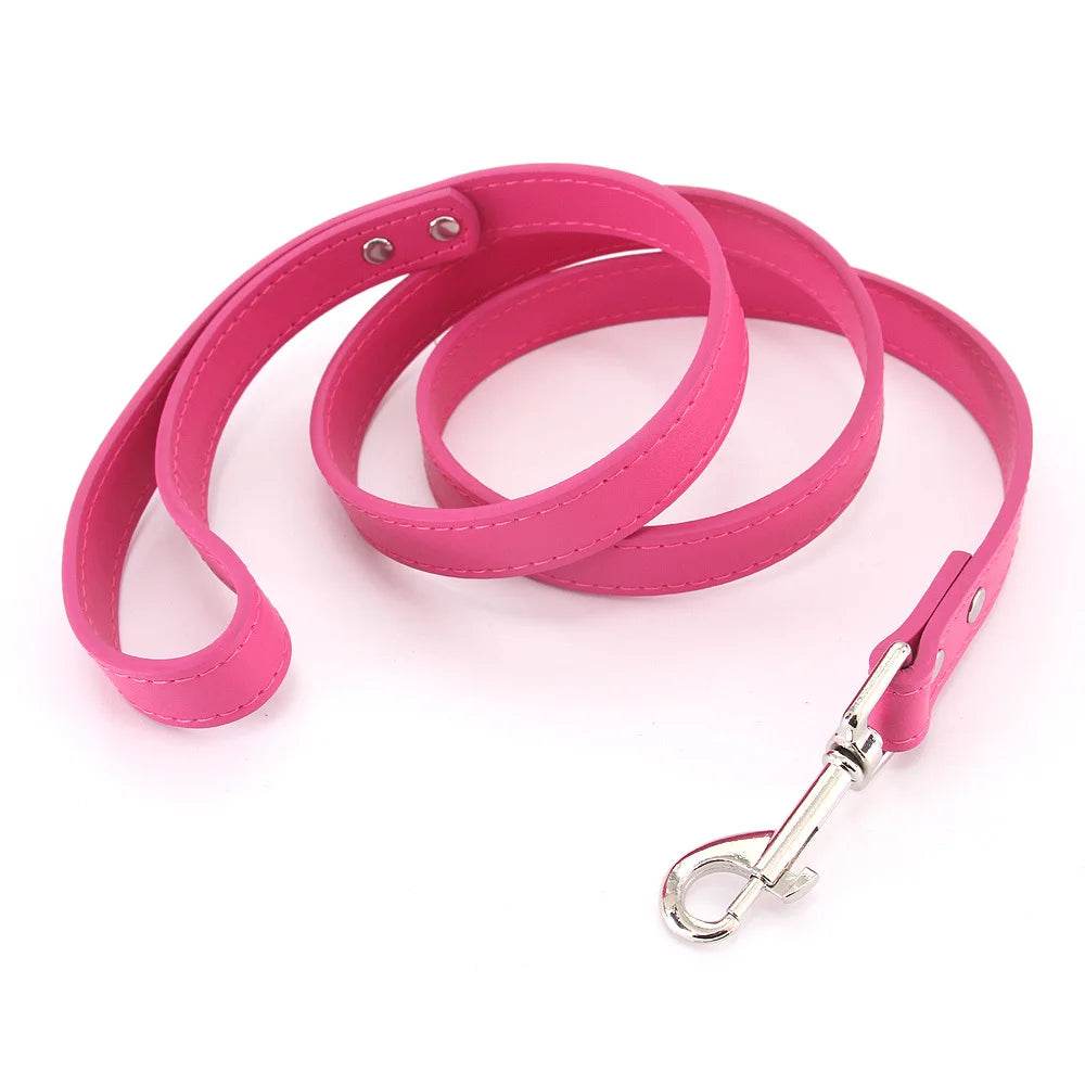 Leather Dog Leash - Chills Pet Pals
