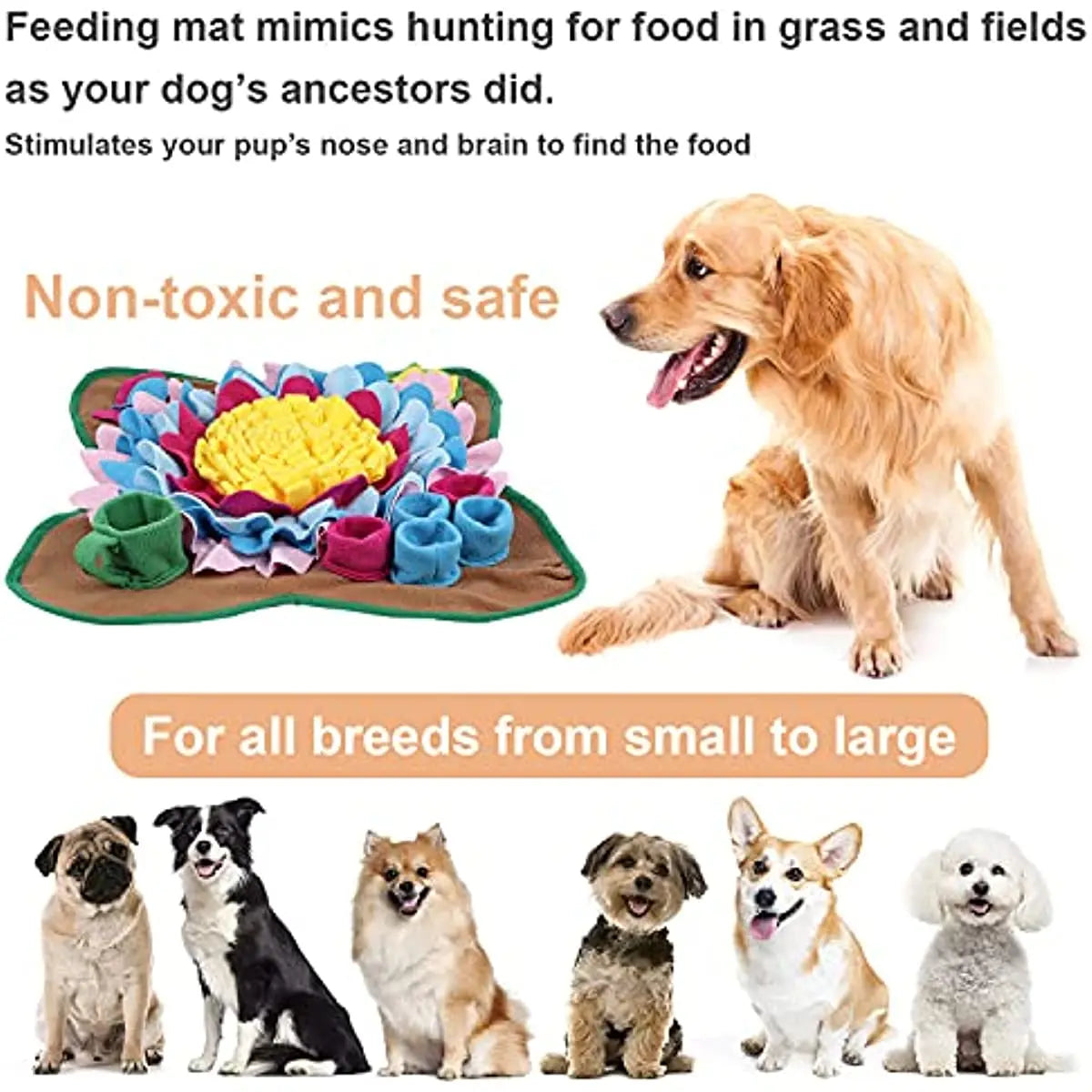 Dog toy mat with colorful flowers and a dog, surrounded by images of various dogs.
