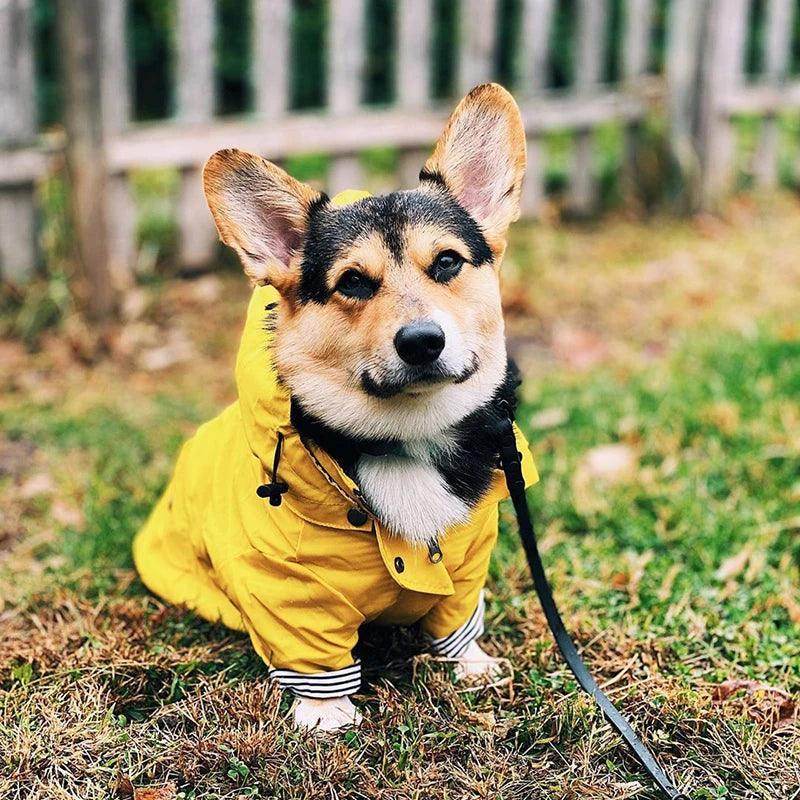 Waterproof Raincoat for Dogs - Chills Pet Pals